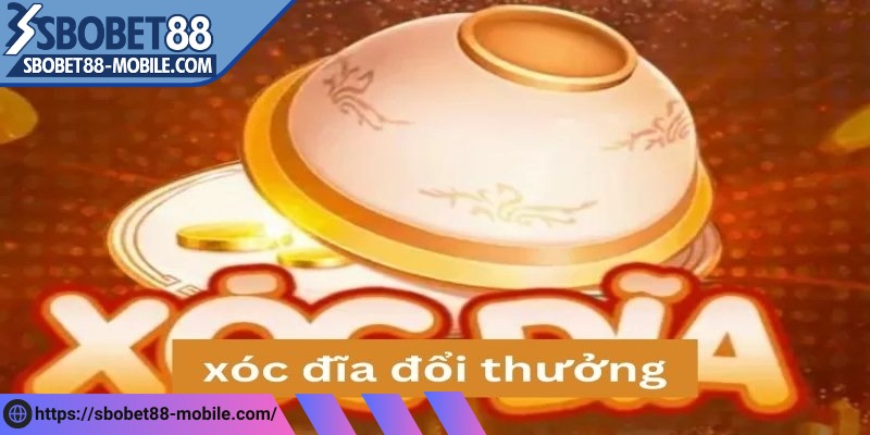 Việc trang bị kiến thức vững chắc là bước cần thiết để nâng cao hiệu quả 