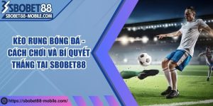 Kèo Rung Bóng Đá - Cách Chơi Và Bí Quyết Thắng Tại Sbobet88