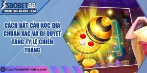 Cách bắt cầu xóc đĩa chuẩn xác và bí quyết tăng tỷ lệ chiến thắng