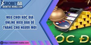Mẹo chơi xóc đĩa online hiệu quả dễ thắng cho người mới