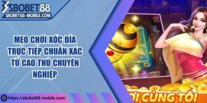 Mẹo chơi xóc đĩa trực tiếp chuẩn xác từ cao thủ chuyên nghiệp